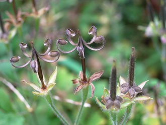 �~�R�V�O�T