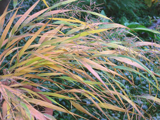 �t�E�`�\�E