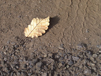 �������̃��[