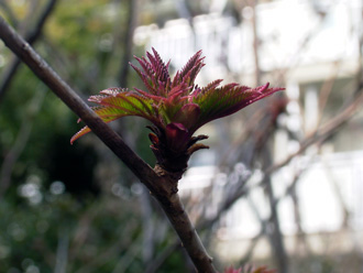 �j���i�i�J�}�h