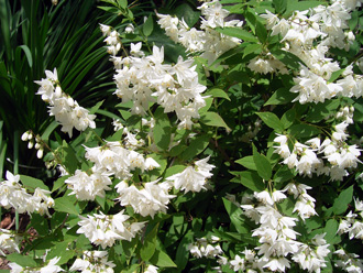 �q���E�c�M