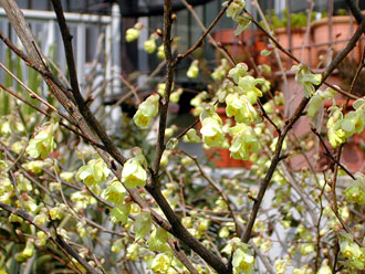 �q���E�K�~�Y�L