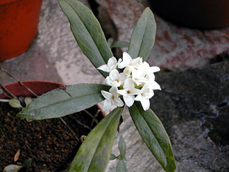 �W���`���E�Q