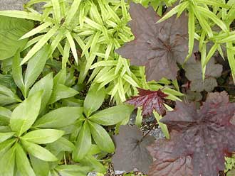 �c�{�T���S