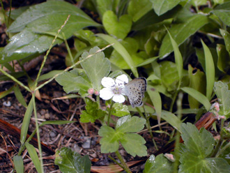 �V�W�~�`���E