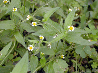 �n�L�_���M�N