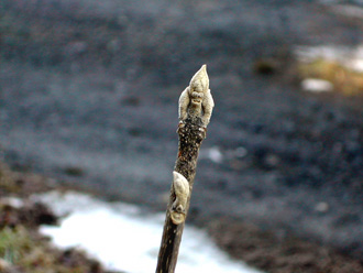 �����T�L�V�L�u