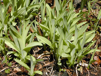 ���u�J���]�E