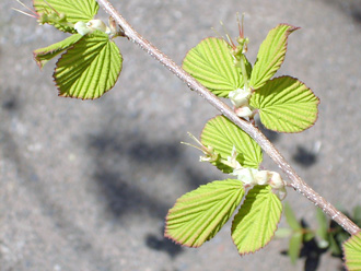 �q���E�K�~�Y�L