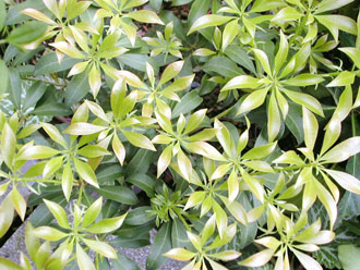 �q���E�K�~�Y�L