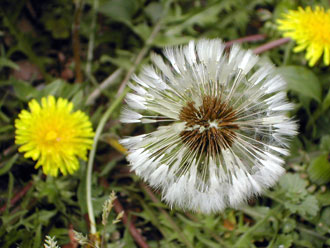 �q���E�K�~�Y�L