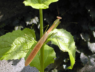 �I�I�J�}�L��