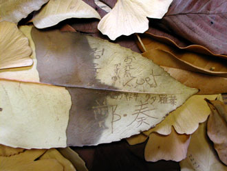 �^�����E